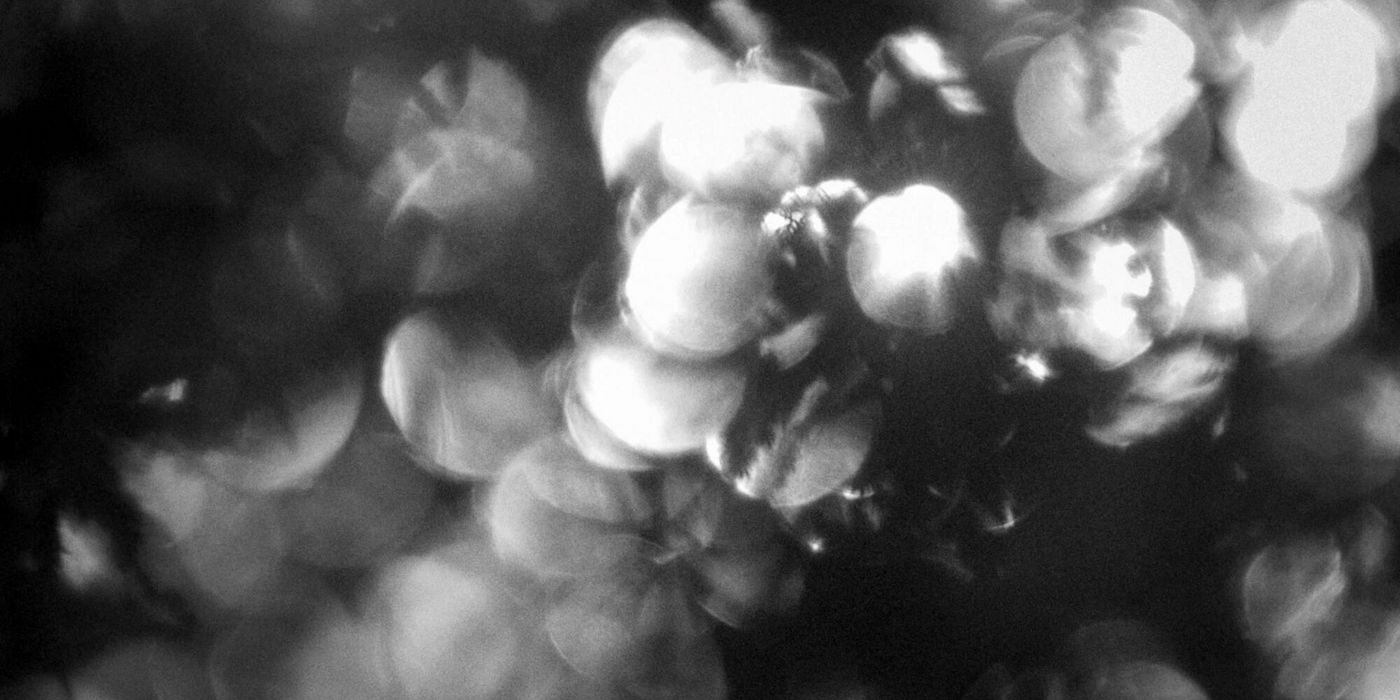 ALT_FOTO